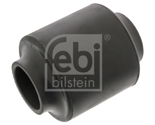 Bushing, leaf spring